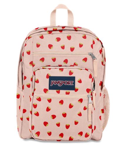 Big Student Backpack in Strawberry Shower
