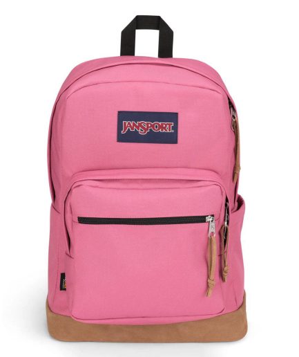 Right Pack Backpack in Mauve Haze