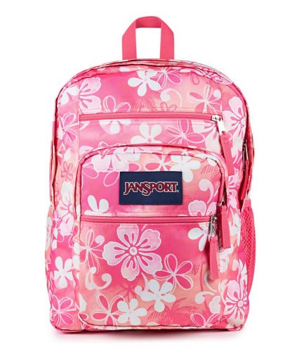 Big Student Backpack in Hiblisscus